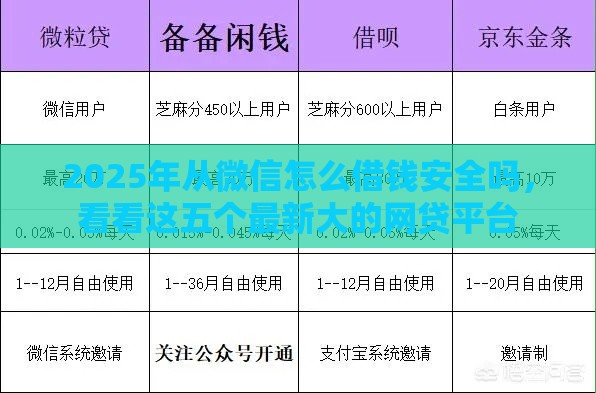 2025年从微信怎么借钱安全吗，看看这五个最新大的网贷平台