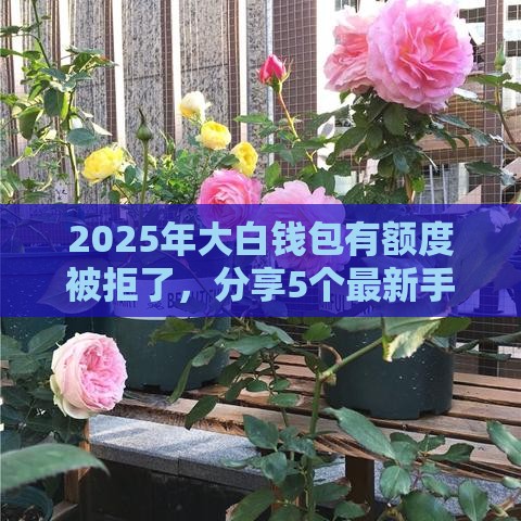 2025年大白钱包有额度被拒了，分享5个最新手机号码贷款平台