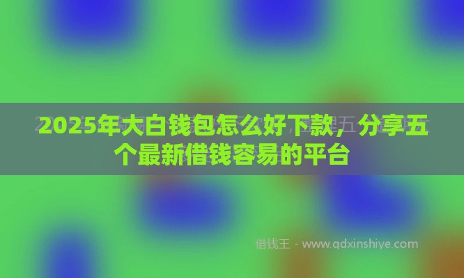 2025年大白钱包怎么好下款，分享五个最新借钱容易的平台
