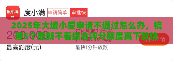 2025年大城小爱申请不通过怎么办，梳理5个最新不看综合评分额度高下款快平台