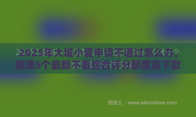 2025年大城小爱申请不通过怎么办，梳理5个最新不看综合评分额度高下款快平台