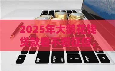 2025年大鹅花钱贷款看不看征信，推荐5个最新平台借钱不上征信