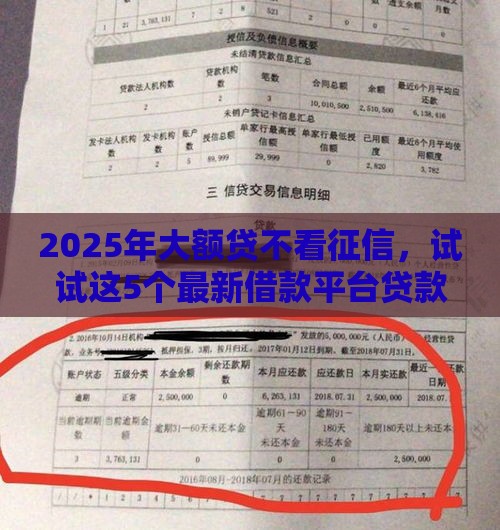 2025年大额贷不看征信,试试这5个最新借款平台贷款不看征信 2025年大额贷不看征信,试试这5个最新借款平台贷款不看征信