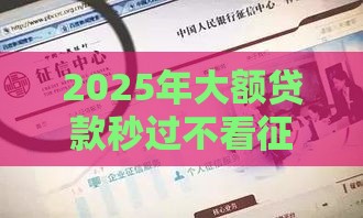 2025年大额贷款秒过不看征信，梳理五个最新网贷借钱平台好