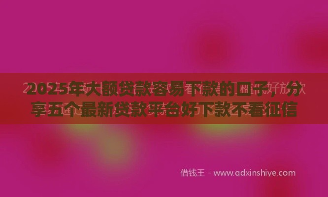 2025年大额贷款容易下款的口子，分享五个最新贷款平台好下款不看征信