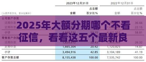 2025年大额分期哪个不看征信，看看这五个最新良心的贷款平台