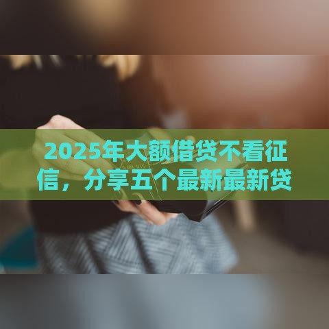 2025年大额借贷不看征信，分享五个最新最新贷款平台