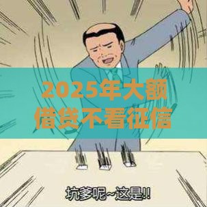 2025年大额借贷不看征信，分享五个最新最新贷款平台