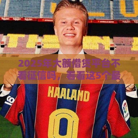 2025年大额借贷平台不看征信吗，看看这5个最新平台贷款好