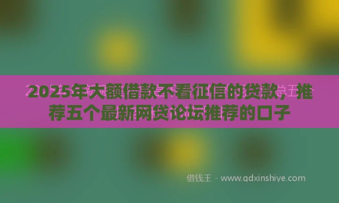 2025年大额借款不看征信的贷款，推荐五个最新网贷论坛推荐的口子