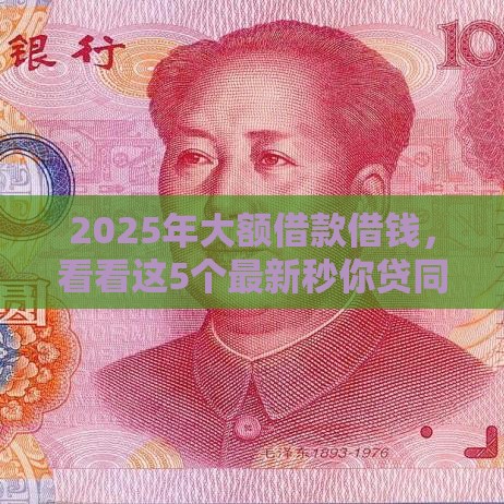 2025年大额借款借钱，看看这5个最新秒你贷同款平台