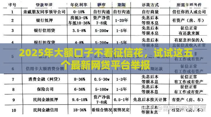 2025年大额口子不看征信花，试试这五个最新网贷平台举报