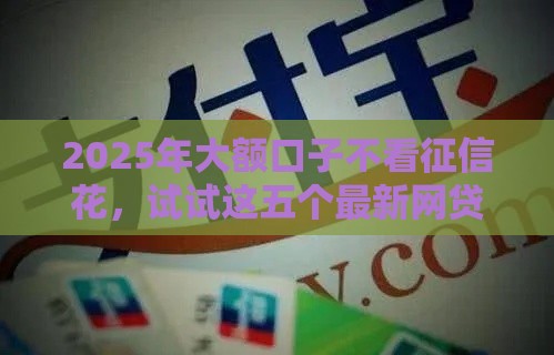 2025年大额口子不看征信花，试试这五个最新网贷平台举报