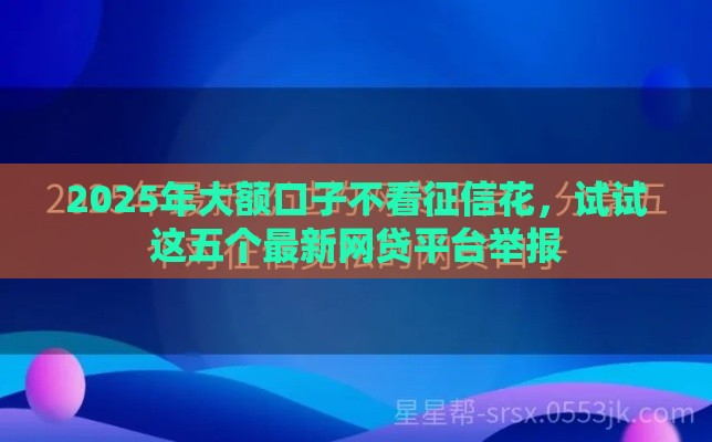 2025年大额口子不看征信花，试试这五个最新网贷平台举报