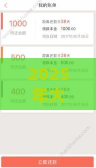 2025年大额长期好下款，试试这五个最新2025新口子
