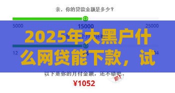 2025年大黑户什么网贷能下款，试试这5个最新18周岁可以贷款的平台