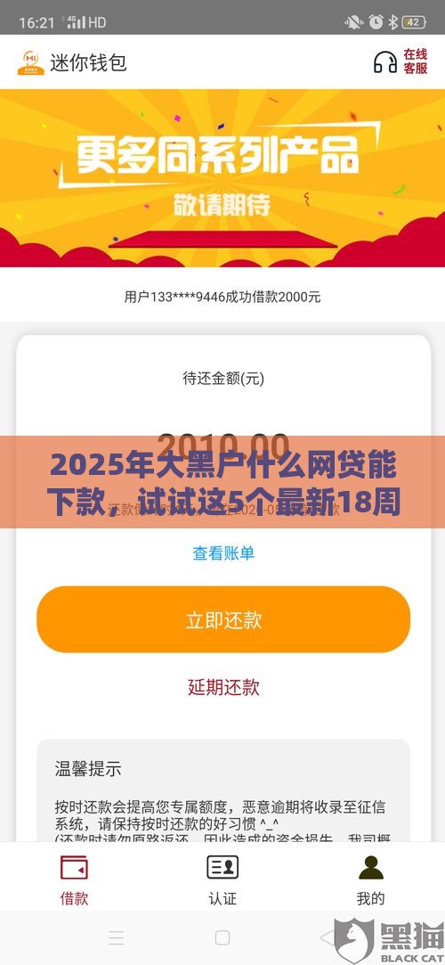 2025年大黑户什么网贷能下款，试试这5个最新18周岁可以贷款的平台