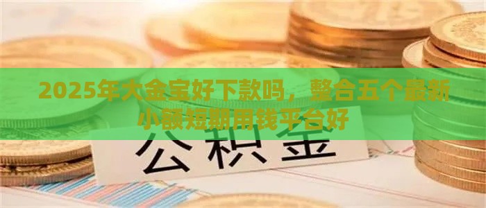 2025年大金宝好下款吗，整合五个最新小额短期用钱平台好