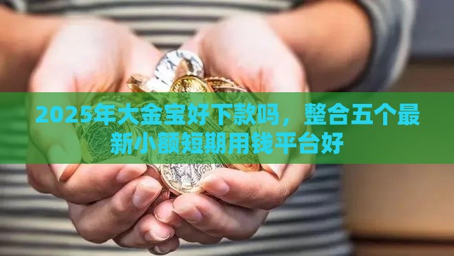 2025年大金宝好下款吗，整合五个最新小额短期用钱平台好