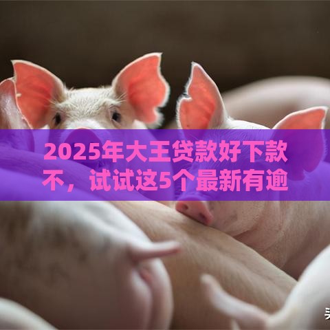 2025年大王贷款好下款不，试试这5个最新有逾期能过的贷款平台