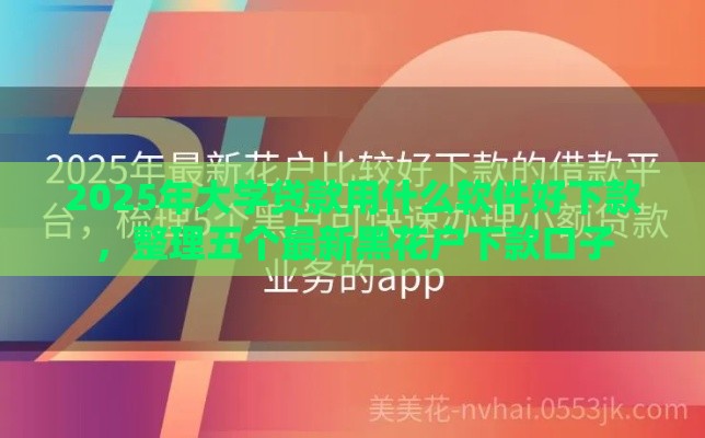 2025年大学贷款用什么软件好下款，整理五个最新黑花户下款口子