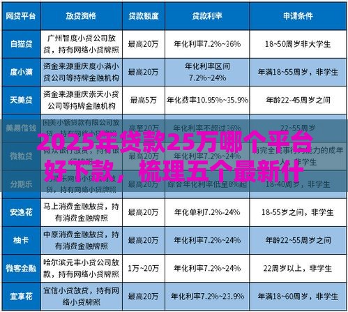 2025年贷款25万哪个平台好下款，梳理五个最新什么叫网贷平台