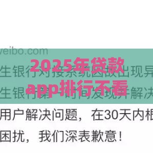 2025年贷款app排行不看征信：分享5个2025热门小米贷款平台