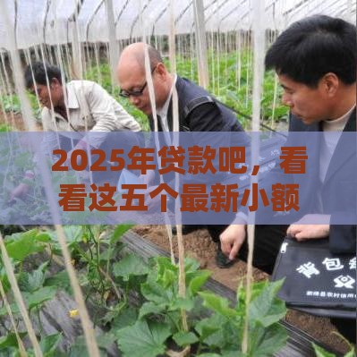 2025年贷款吧，看看这五个最新小额贷款必下平台