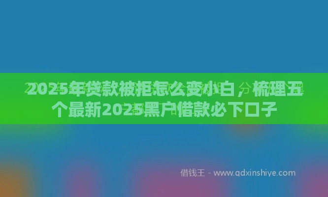2025年贷款被拒怎么变小白，梳理五个最新2025黑户借款必下口子