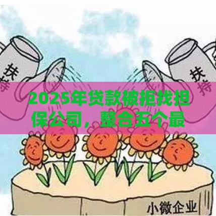2025年贷款被拒找担保公司，整合五个最新小微贷款平台