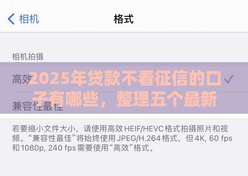 2025年贷款不看征信的口子有哪些，整理五个最新不看信用能借一千块钱的软件