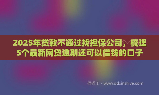 2025年贷款不通过找担保公司，梳理5个最新网贷逾期还可以借钱的口子
