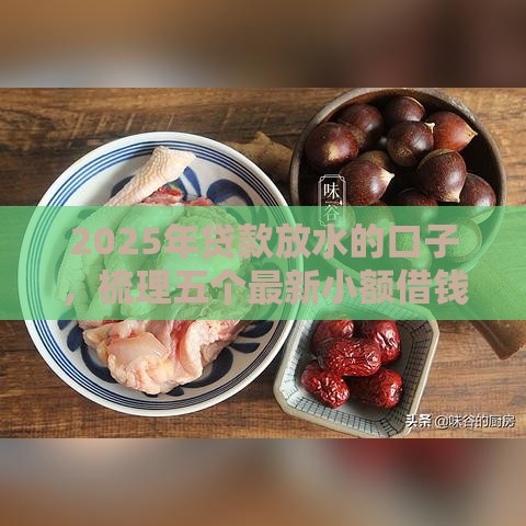 2025年贷款放水的口子，梳理五个最新小额借钱平台