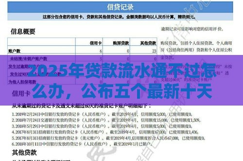 2025年贷款流水通不过怎么办，公布五个最新十天为期不看征信借钱平台