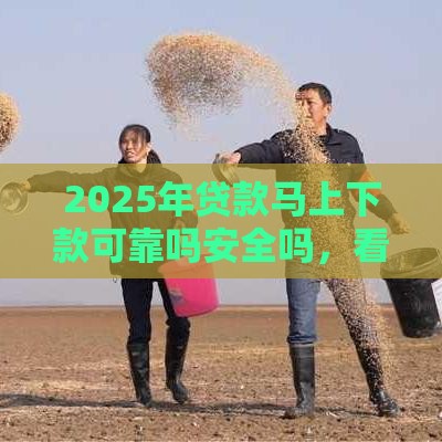 2025年贷款马上下款可靠吗安全吗，看看这五个最新应急贷款平台