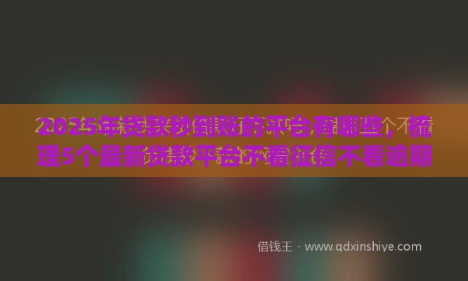 2025年贷款秒到账的平台有哪些，梳理5个最新贷款平台不看征信不看逾期