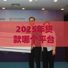 2025年贷款哪个平台容易下款的，看看这5个最新大额度贷款平台