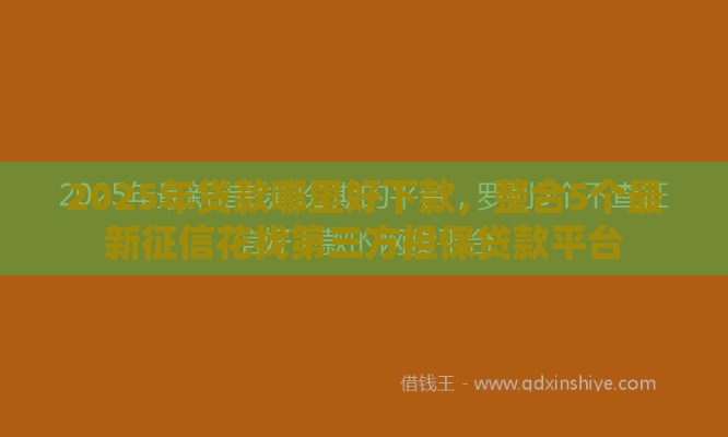 2025年贷款哪里好下款，整合5个最新征信花找第三方担保贷款平台