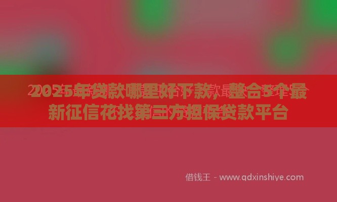 2025年贷款哪里好下款，整合5个最新征信花找第三方担保贷款平台