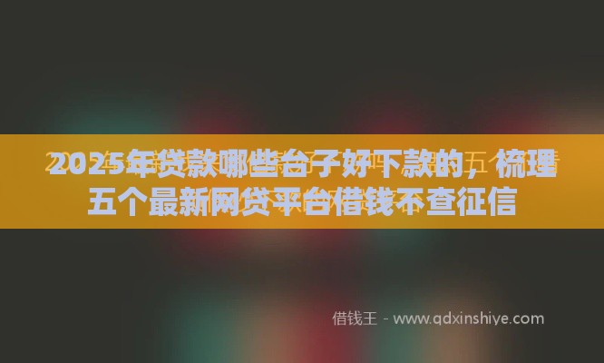 2025年贷款哪些台子好下款的，梳理五个最新网贷平台借钱不查征信