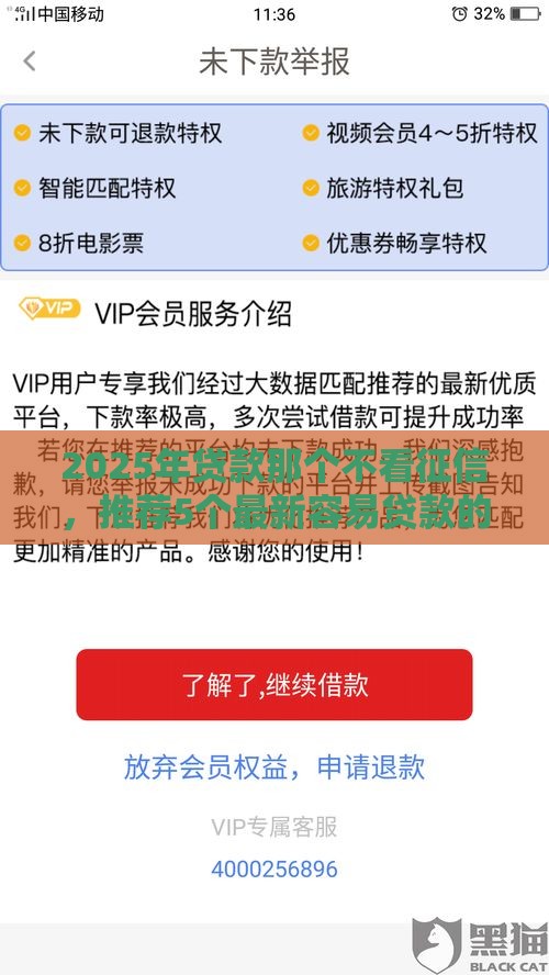 2025年贷款那个不看征信，推荐5个最新容易贷款的平台