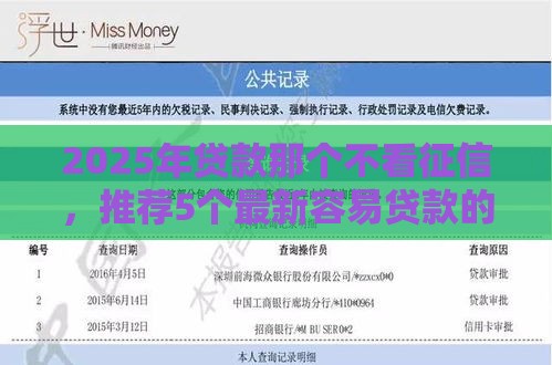 2025年贷款那个不看征信，推荐5个最新容易贷款的平台