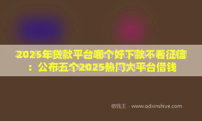 2025年贷款平台哪个好下款不看征信：公布五个2025热门大平台借钱