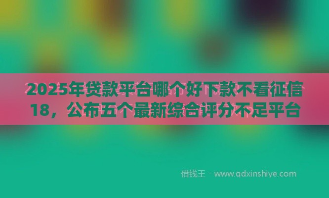 2025年贷款平台哪个好下款不看征信18，公布五个最新综合评分不足平台能下款