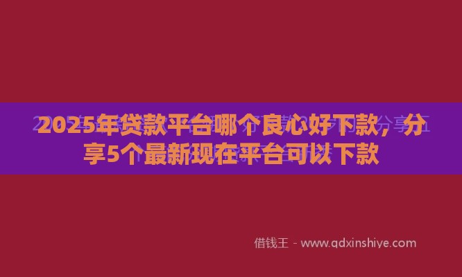 2025年贷款平台哪个良心好下款，分享5个最新现在平台可以下款