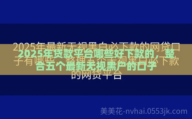 2025年贷款平台哪些好下款的，整合五个最新无视黑户的口子