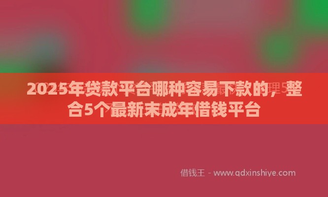 2025年贷款平台哪种容易下款的，整合5个最新末成年借钱平台