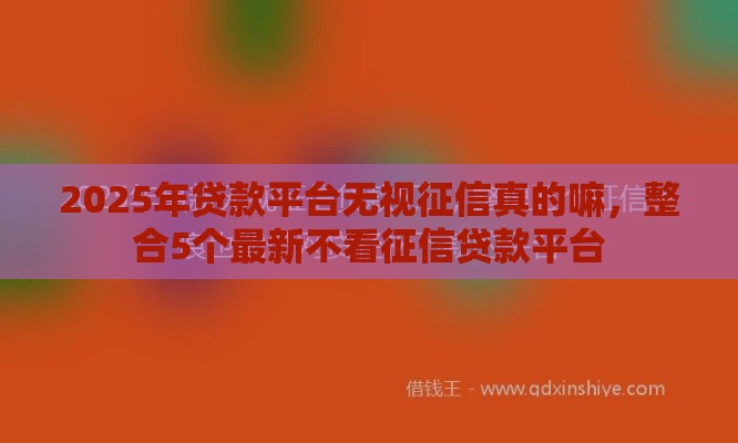 2025年贷款平台无视征信真的嘛，整合5个最新不看征信贷款平台