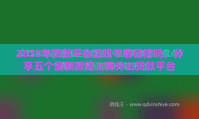 2025年贷款平台正规不看征信吗，分享五个最新微信上有什么贷款平台