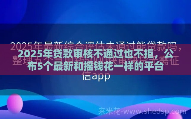 2025年贷款审核不通过也不拒，公布5个最新和摇钱花一样的平台
